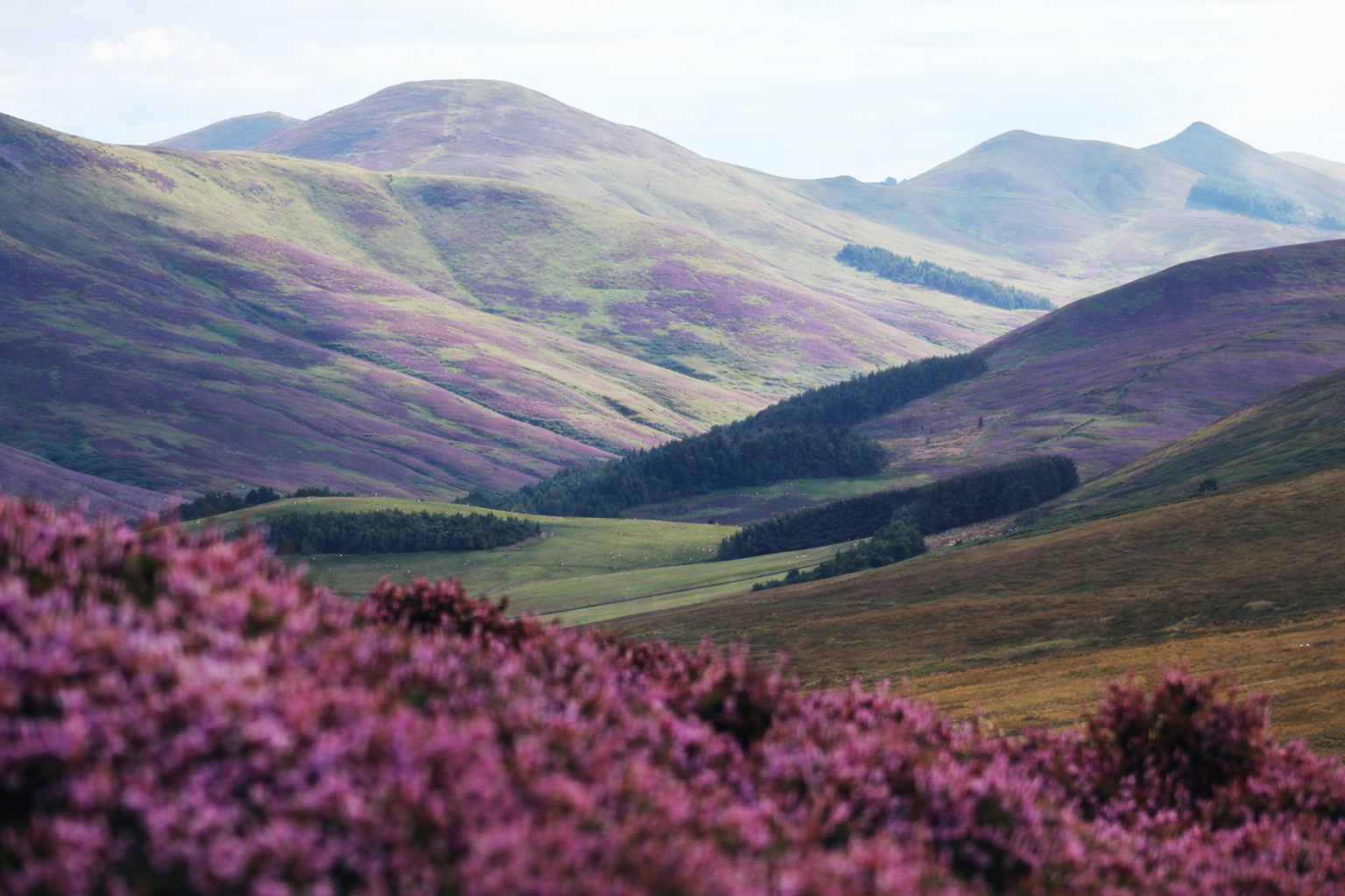 Summer in the Scottish Highlands with lush green mountains