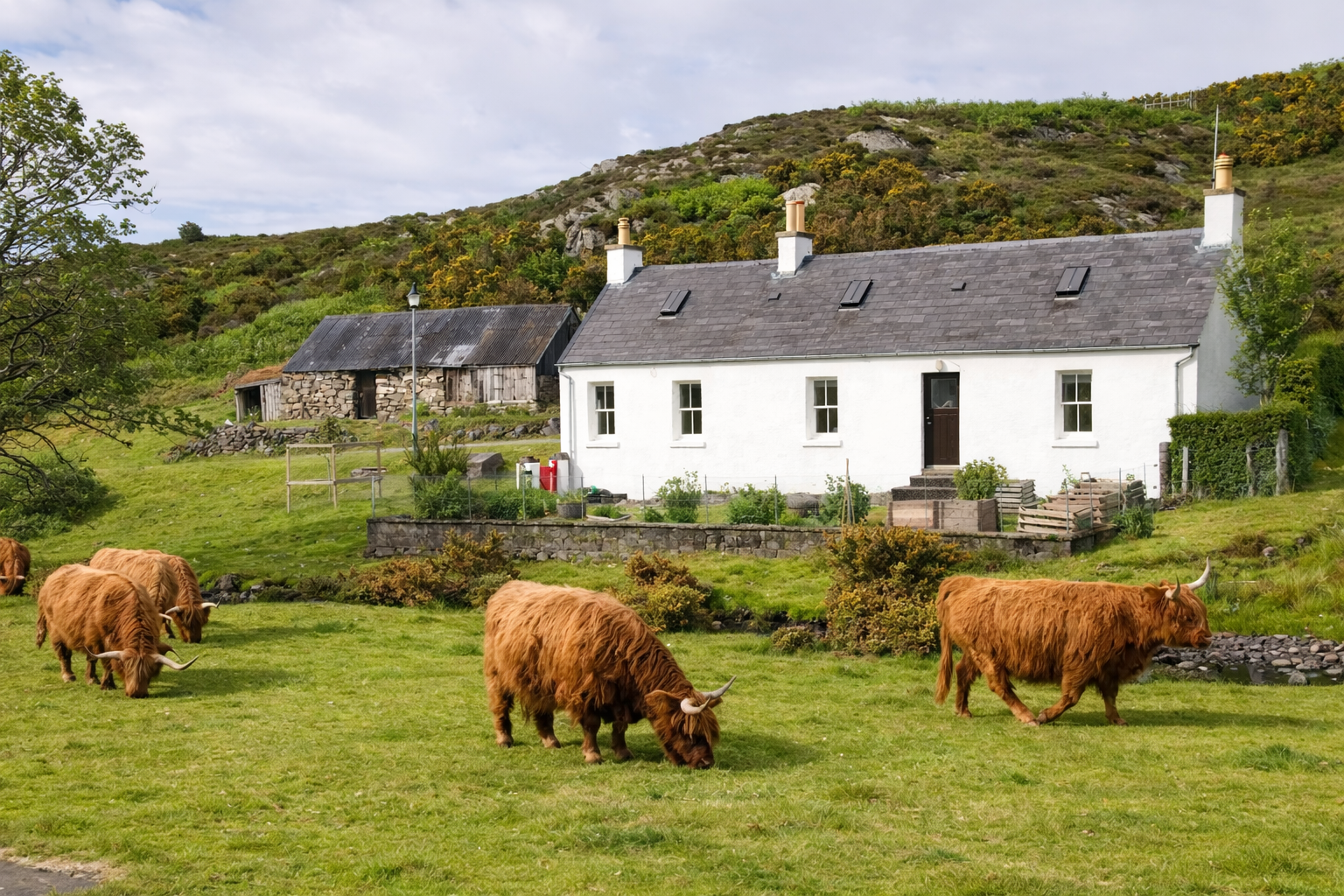 Traditional Highland crofting landscape with small rented farm